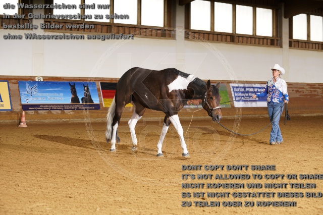 s_K3F01764.JPG